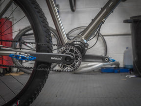 Lamb - Pinion Titanium Bike Builder