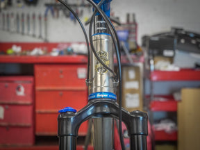 Lamb - Pinion Titanium Bike Builder