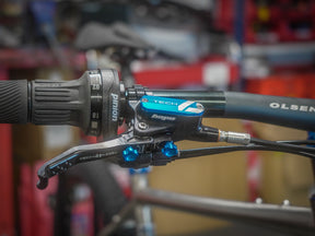 Lamb - Pinion Titanium Bike Builder