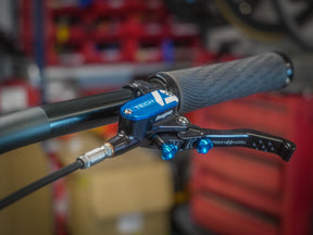 Lamb - Pinion Titanium Bike Builder