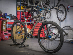 Lamb - Pinion Titanium Bike Builder