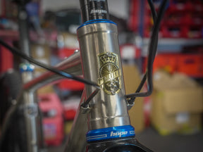 Lamb - Pinion Titanium Bike Builder