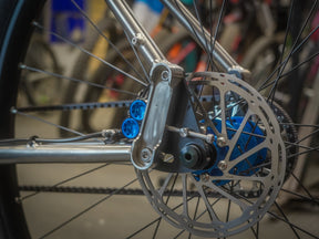 Lamb - Pinion Titanium Bike Builder