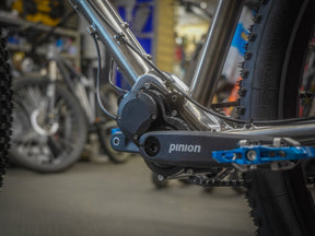 Lamb - Pinion Titanium Bike Builder