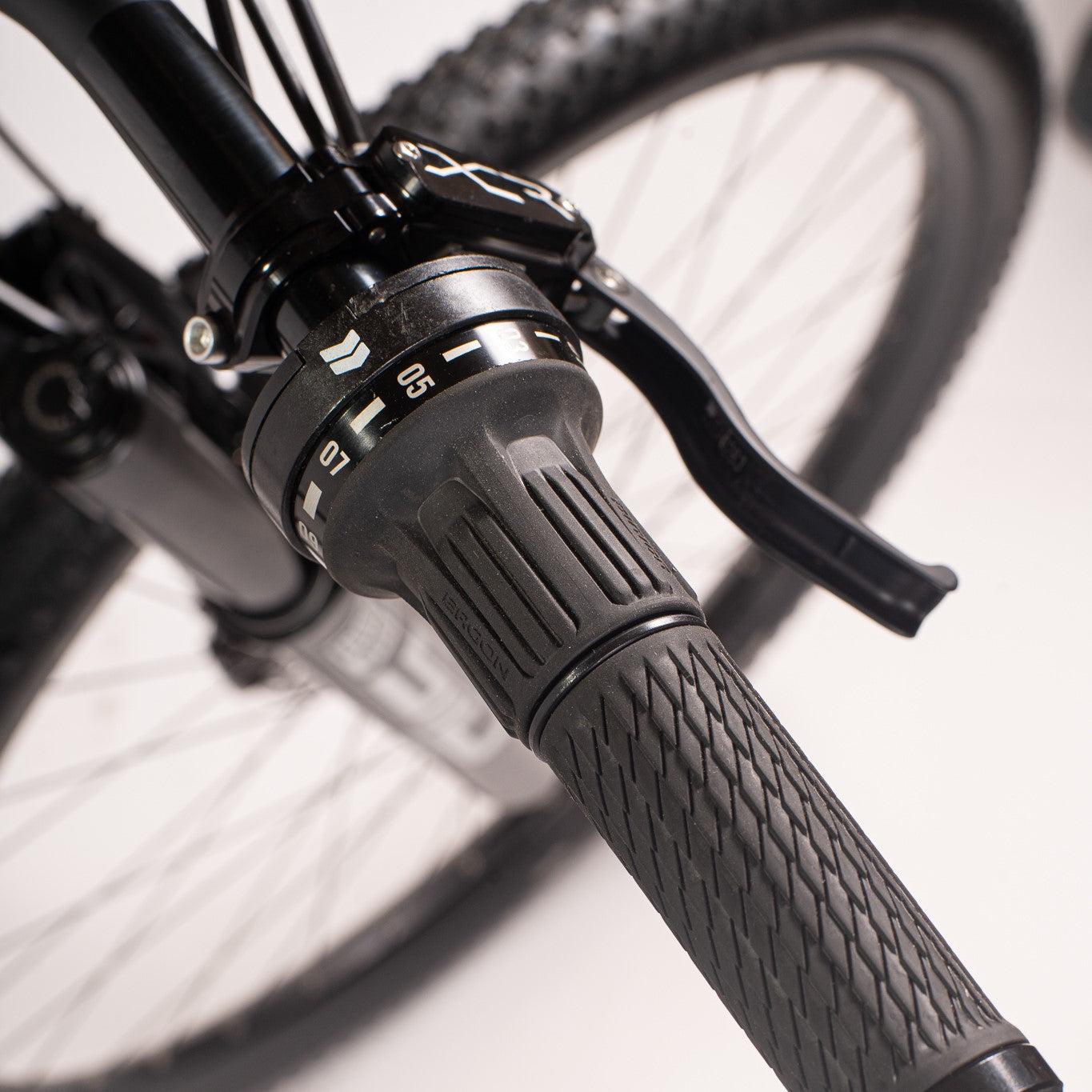 Lamb - Pinion Titanium Bike Builder