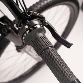 Lamb - Pinion Titanium Bike Builder