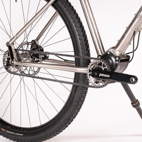 Tiger - Pinion Titanium Bike Builder