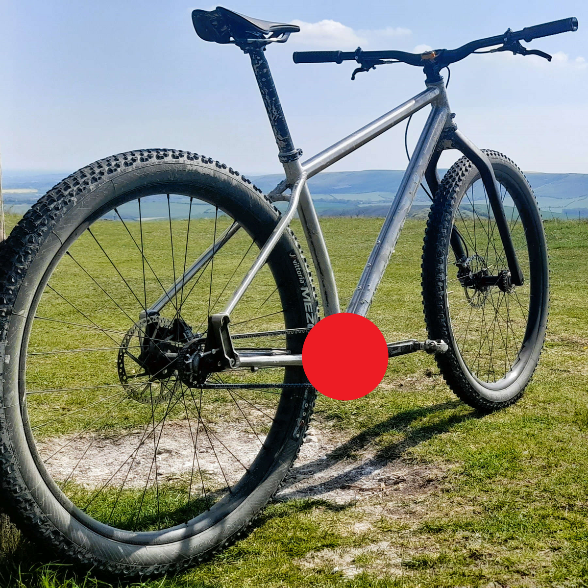 Tiger - Pinion Titanium Bike Builder